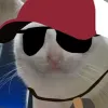 Profile pic of kisanakk